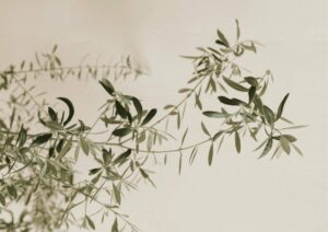 accompagnement à la fertilité